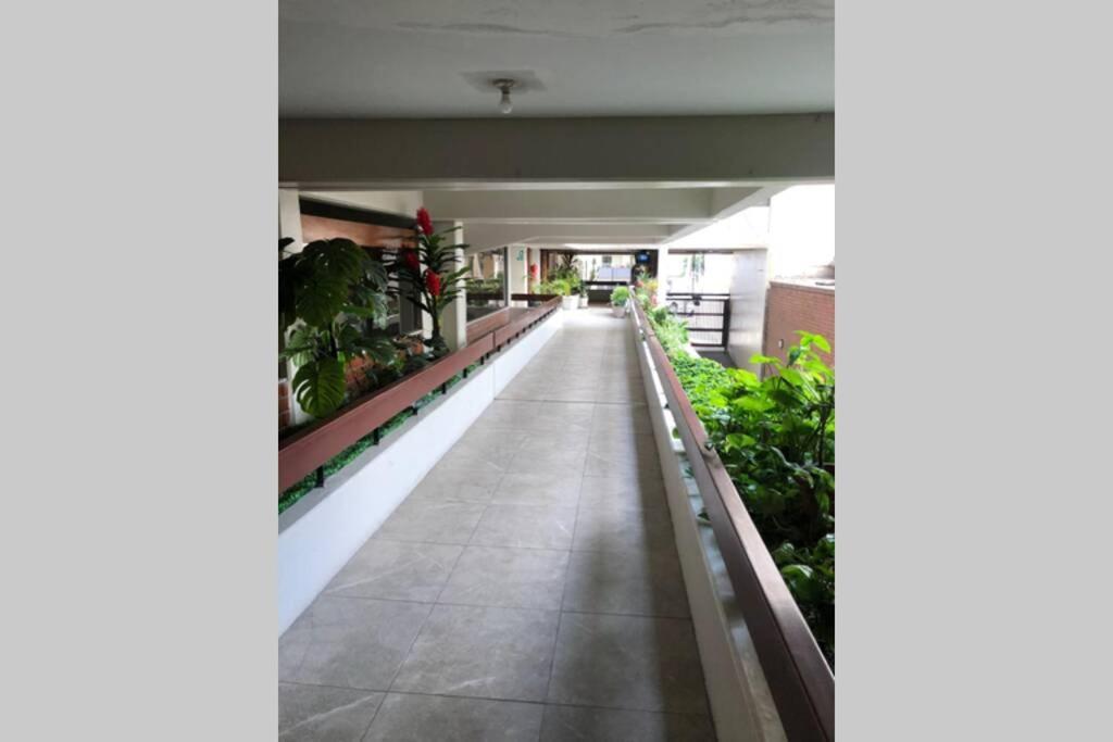 Acogedor Departamento, Excelente Ubicacion Appartement *